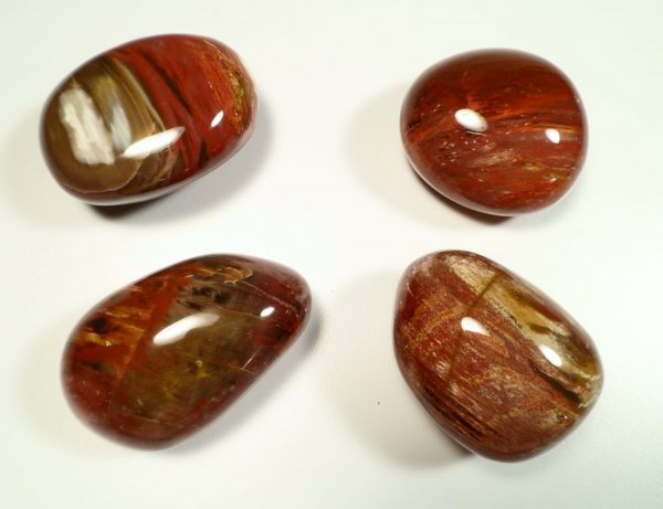 Petrified Wood pebble All Gallet Items