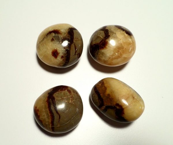 Septarian pebble All Gallet Items