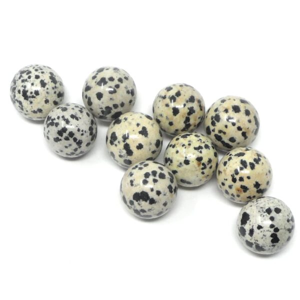 Dalmatian Jasper 20mm Spheres 10 pack All Polished Crystals bulk dalmatian jasper