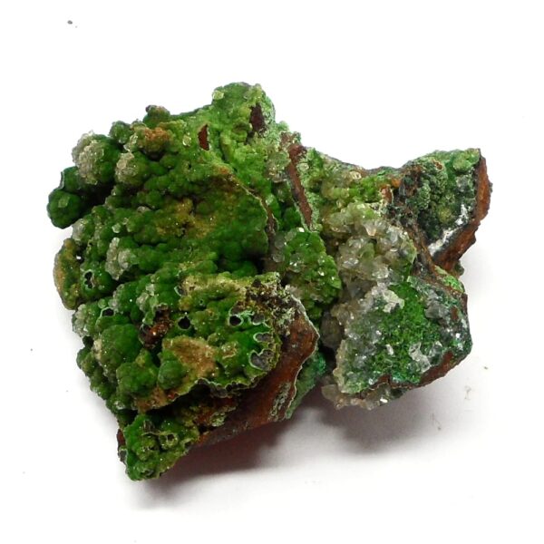 Conichalcite Mineral Specimen All Raw Crystals conichalcite