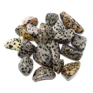 Dalmatian Jasper lg tumbled 8oz All Tumbled Stones bulk crystals