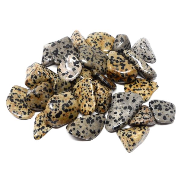 Dalmatian Jasper lg tumbled 8oz All Tumbled Stones bulk crystals