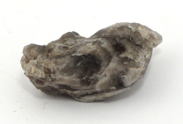 Coontail Quartz Mineral Specimen All Raw Crystals coontail quartz