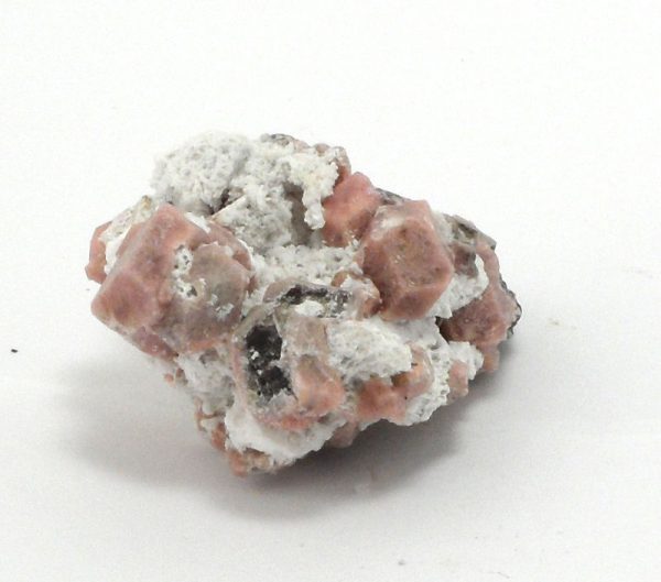Garnet in Matrix Mineral Specimen All Raw Crystals garnet