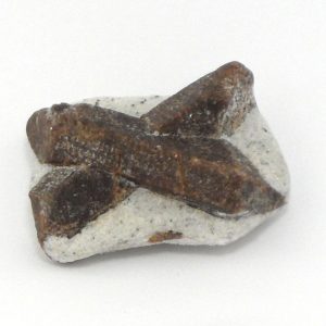 Staurolite Mineral Specimen All Raw Crystals rare staurolite