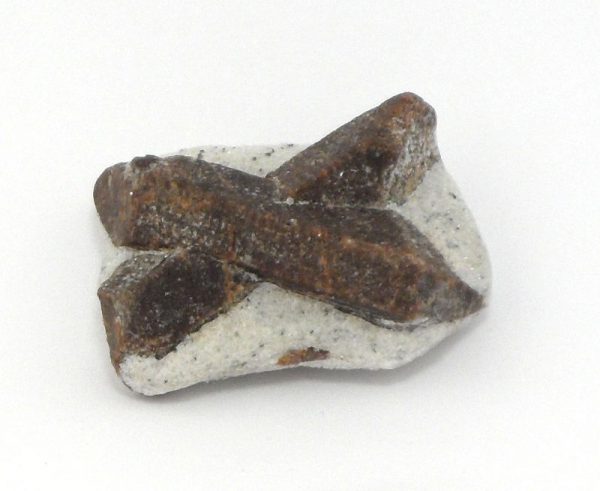 Staurolite Mineral Specimen All Raw Crystals rare staurolite
