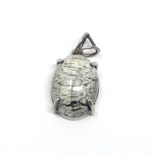 Petrified Ivy Pendant All Crystal Jewelry fossil pendant