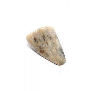 Agatized Coral Tumbled Stone New arrivals agatized coral