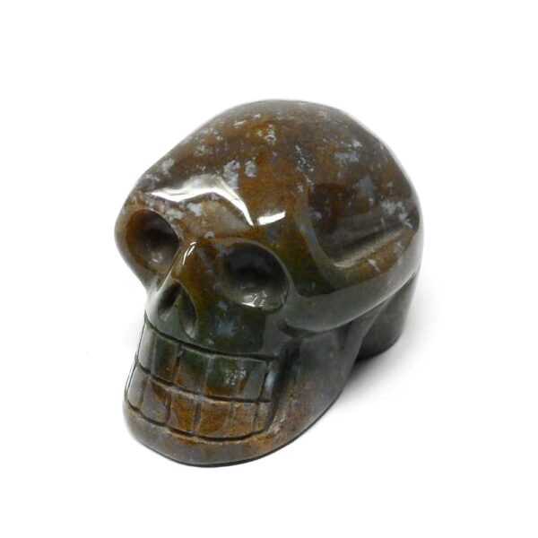 Moss Agate Crystal Skull All Polished Crystals agate