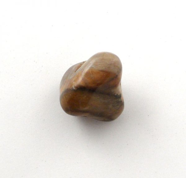 Petrified Wood Pebble All Gallet Items pebble