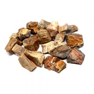 Petrified Wood 16oz All Raw Crystals bulk fossilized wood