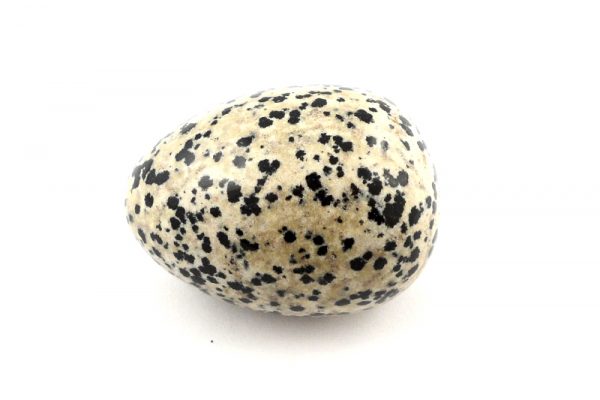 Dalmatian Jasper Egg All Polished Crystals dalmatian jasper