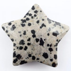 Dalmatian Jasper Star All Specialty Items dalmatian jasper