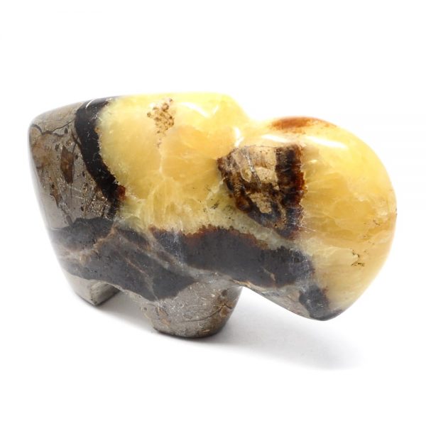 Septarian Buffalo All Specialty Items bison