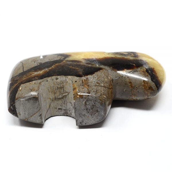 Septarian Buffalo All Specialty Items bison