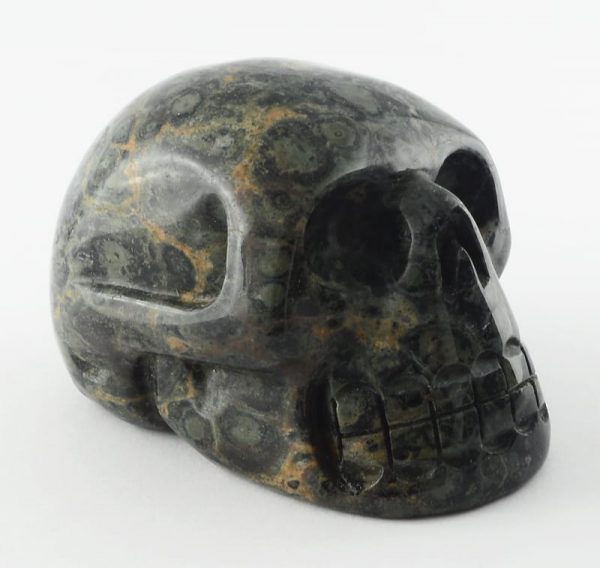 Kambaba Jasper Skull All Polished Crystals kambaba jasper