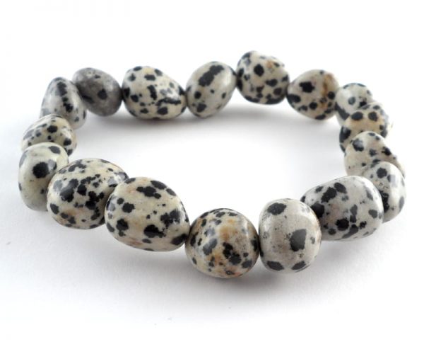 Dalmatian Jasper Tumbled Stone Bracelet All Crystal Jewelry bracelet