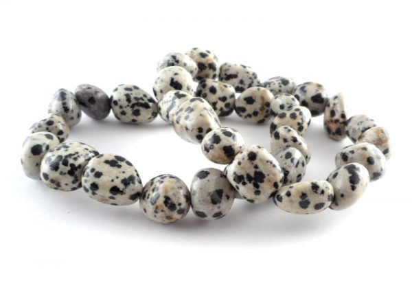 Dalmatian Jasper Tumbled Stone Bracelet All Crystal Jewelry bracelet