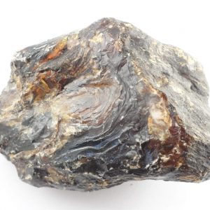 Black Amber Fossils amber
