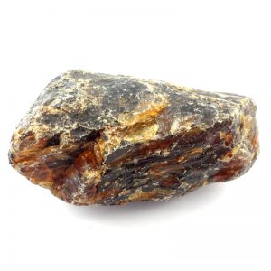 Black Amber Fossils amber