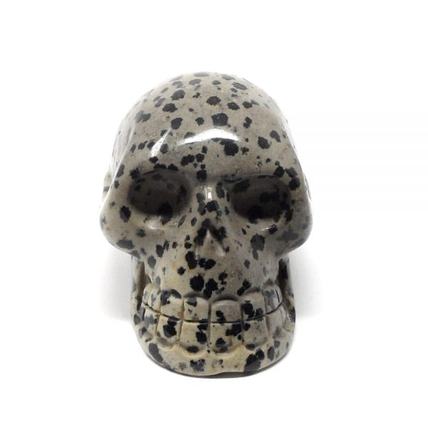 Dalmatian Jasper Skull All Polished Crystals crystal skull