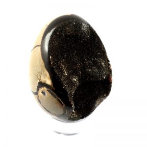 Septarian Dragon Egg Polished Crystals dragon egg