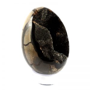 Septarian Dragon Egg Polished Crystals dragon egg