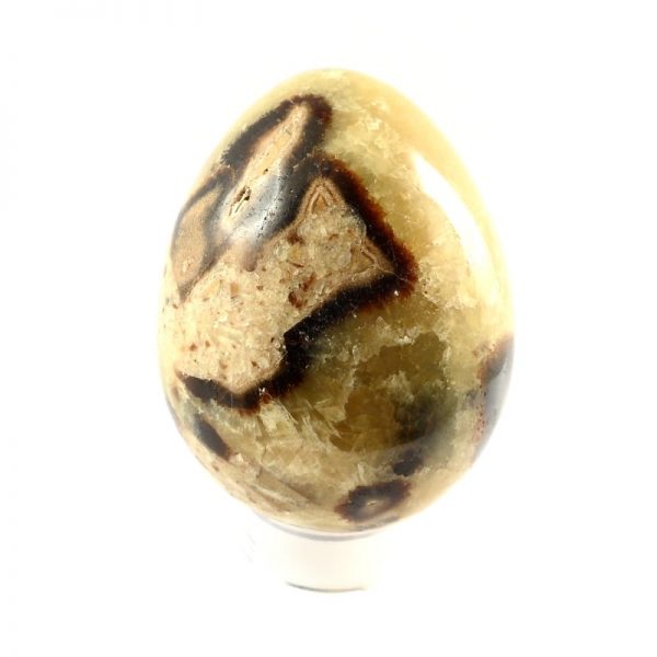 Septarian Egg All Polished Crystals septarian egg