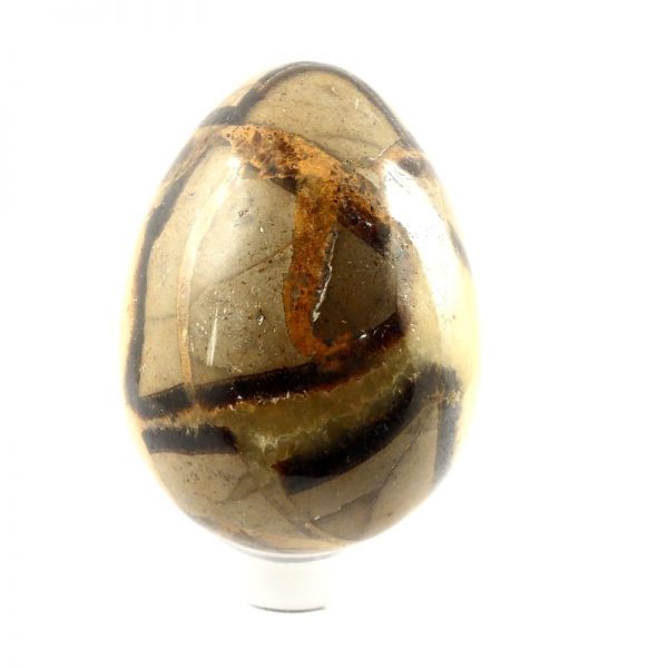 Septarian Egg All Polished Crystals septarian egg