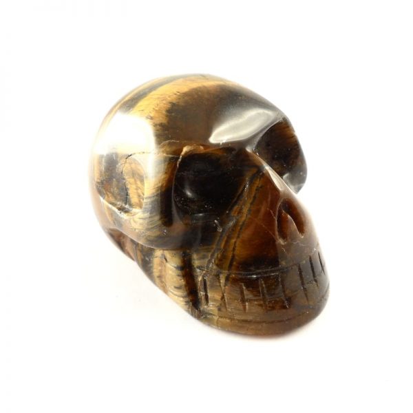 Tiger Iron Skull All Polished Crystals skull