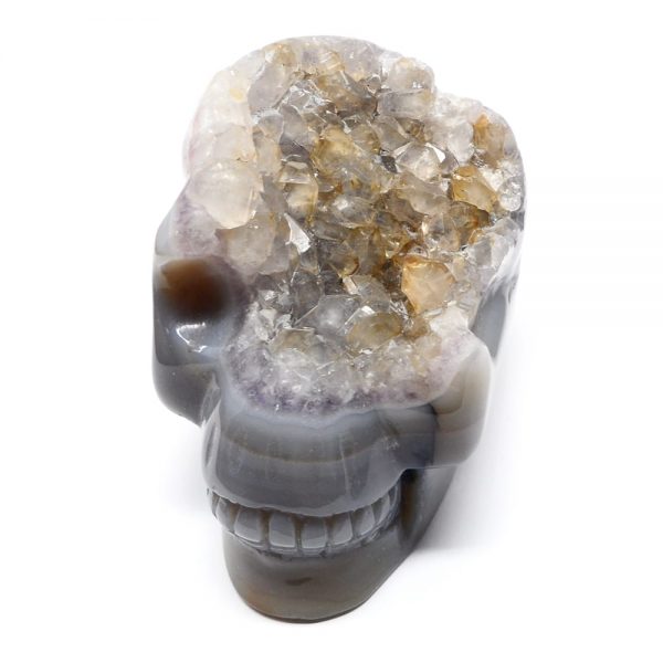 Agate Druzy Skull All Polished Crystals agate