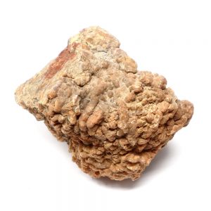 Coprolite Specimen Fossils coprolite