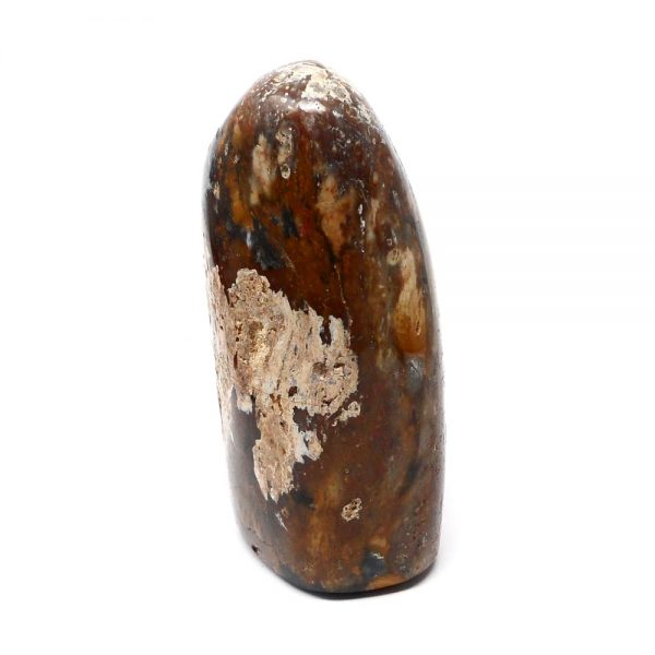 Petrified Wood Sculpture All Gallet Items crystal sculpture
