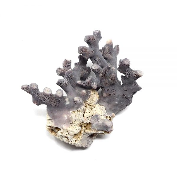 Precious Coral Specimen, Purple All Raw Crystals coral