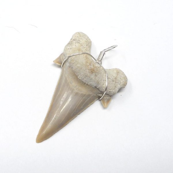 Shark Tooth Pendant, Wire Wrapped All Crystal Jewelry pendant