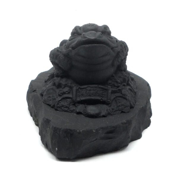 Shungite Fortune Frog All Specialty Items carving