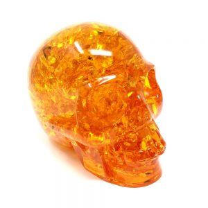 Amber Skull New arrivals amber