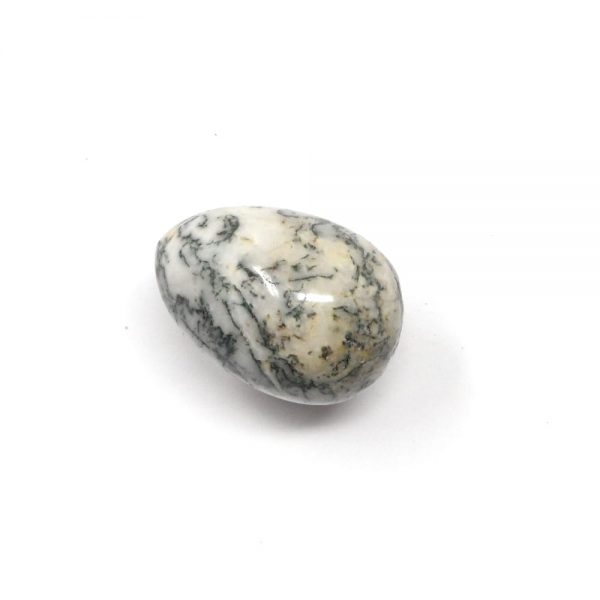 Moss Agate Crystal Egg All Polished Crystals agate