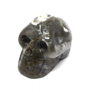 Moss Agate Skull All Polished Crystals agate