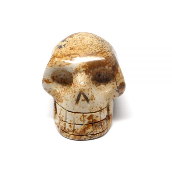 Picture Jasper Skull All Polished Crystals crystal skull