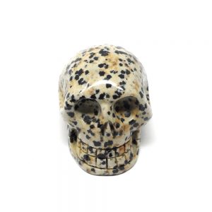 Dalmatian Jasper Skull New arrivals crystal skull