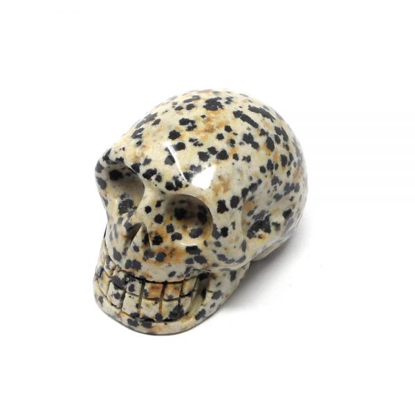 Dalmatian Jasper Skull All Polished Crystals crystal skull