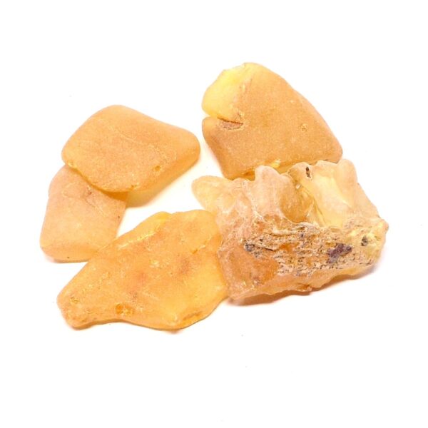 Copal Amber Crystals All Raw Crystals amber