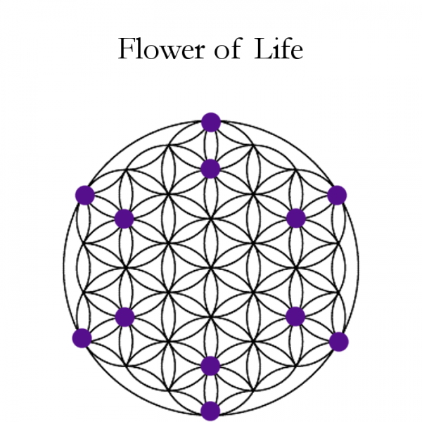 Flower of Life Grid Cloth Accessories black grid cloth