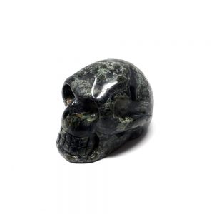 Kambaba Jasper Skull All Polished Crystals crocodile jasper