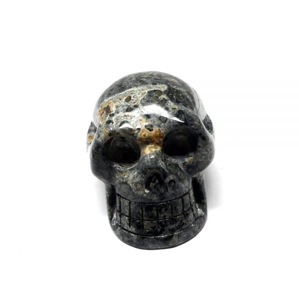 Kambaba Jasper Skull All Polished Crystals crocodile jasper