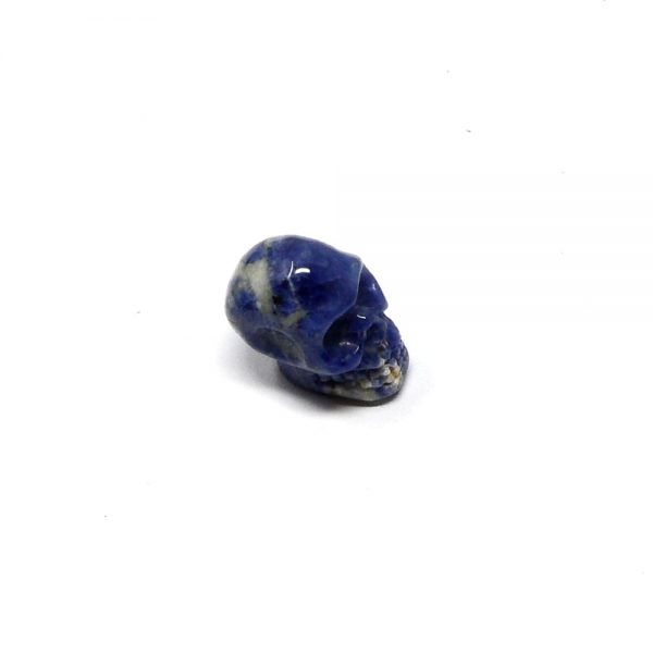 Sodalite Mini Skull All Polished Crystals crystal mini skull