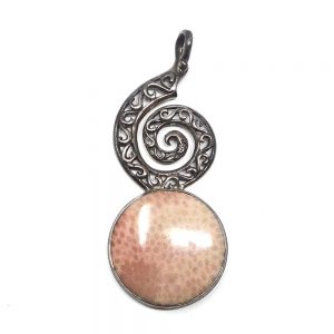 Fossilized Coral Pendant All Crystal Jewelry coral