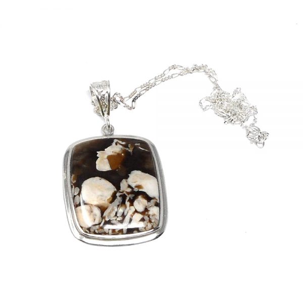 Petrified Peanut Wood Necklace All Crystal Jewelry petrified peanut wood